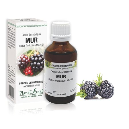 Extract din mladite de Mur, 50 ml, Plant Extrakt 734986
