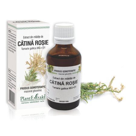 Extract din mladite de Catina Rosie Tamarix, 50 ml, Plant Extrakt 734697
