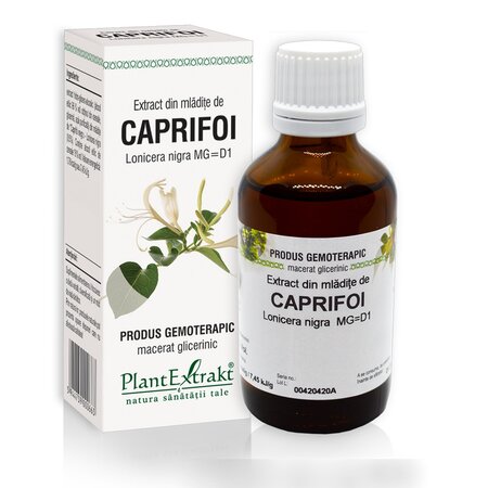 Extract din mladite de Caprifoi, 50 ml, Plant Extrakt