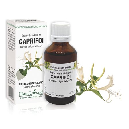 Extract din mladite de Caprifoi, 50 ml, Plant Extrakt 734693