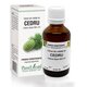 Extract din mladite de Cedru, 50 ml, Plant Extrakt 734628