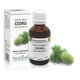 Extract din mladite de Cedru, 50 ml, Plant Extrakt 734629
