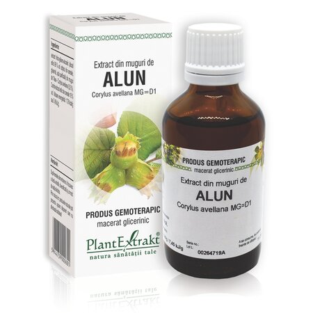Extract din muguri de Alun, 50 ml, Plant Extrakt