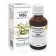 Extract din mladite de Vasc, 50 ml, Plant Extrakt 735077