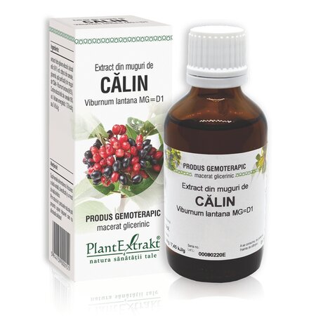 Extract din muguri de Calin, 50 ml, Plant Extrakt
