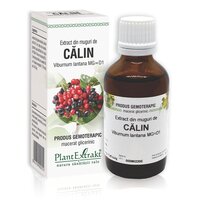 Extract din muguri de Calin, 50 ml, Plant Extrakt