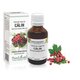 Extract din muguri de Calin, 50 ml, Plant Extrakt 735249