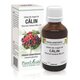 Extract din muguri de Calin, 50 ml, Plant Extrakt 735248