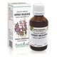 Extract din mladite de Iarba Neagra, 50 ml, Plant Extrakt 734708