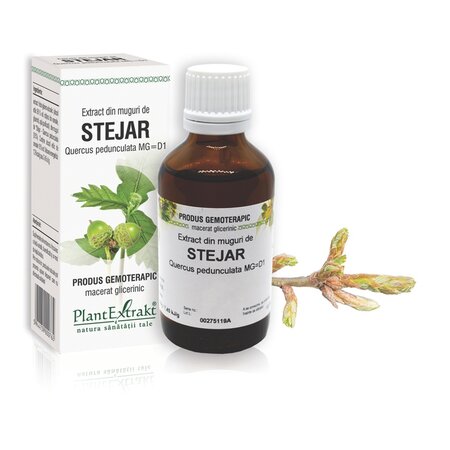 Extract din muguri de Stejar, 50 ml, Plant Extrakt 737318