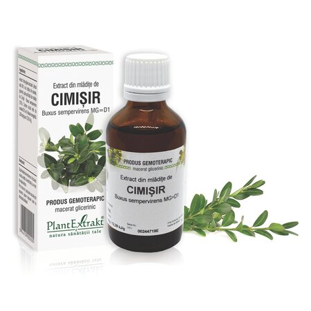 Extract din mladite de Cimisir, 50 ml, Plant Extrakt 734654