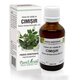 Extract din mladite de Cimisir, 50 ml, Plant Extrakt 734653