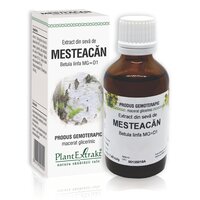 Extract din seva de Mesteacan, 50 ml, Plant Extrakt