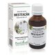Extract din seva de Mesteacan, 50 ml, Plant Extrakt 738258