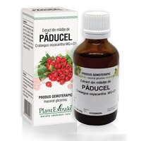 Extract din mladite de Paducel, 50 ml, Plant Extrakt