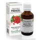 Extract din mladite de Paducel, 50 ml, Plant Extrakt 735011