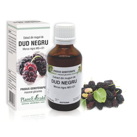 Extract din muguri de Dud Negru, 50 ml, Plant Extrakt 736931
