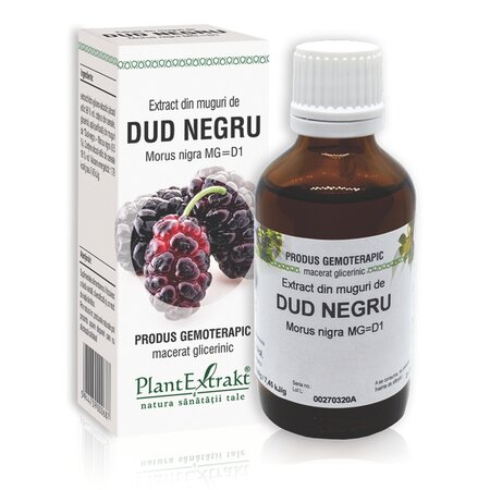 Extract din muguri de Dud Negru, 50 ml, Plant Extrakt