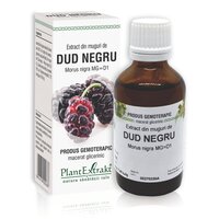 Extract din muguri de Dud Negru, 50 ml, Plant Extrakt