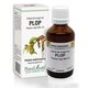 Extract din muguri de Plop, 50 ml, Plant Extrakt 737218