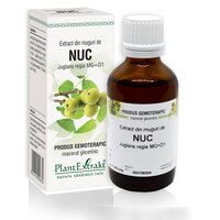 Extract din muguri de Nuc, 50 ml, Plant Extrakt