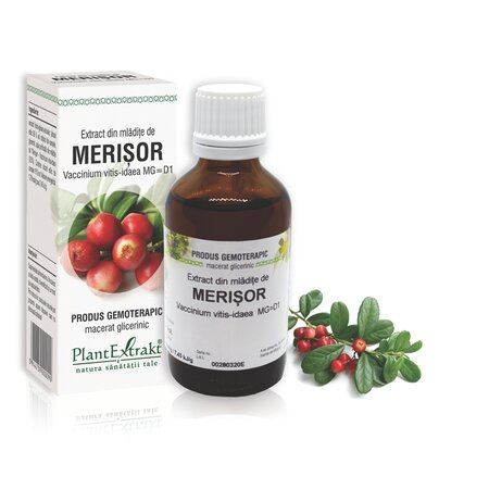 Extract din mladite de Merisor, 50 ml, Plant Extrakt 734980
