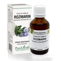 Extract din mladite de Rozmarin, 50 ml, Plant Extrakt