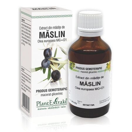 Extract din mladite de Maslin, 50 ml, Plant Extrakt