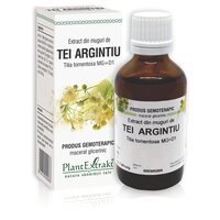 Extract din muguri de Tei Argintiu, 50 ml, Plant Extrakt