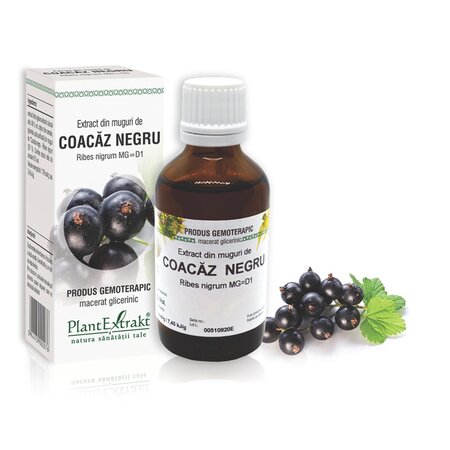 Extract din muguri de Coacaz Negru, 50 ml, Plant Extrakt 735834