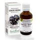 Extract din muguri de Coacaz Negru, 50 ml, Plant Extrakt 735833