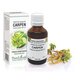 Extract din muguri de Carpen, 50 ml, Plant Extrakt 735254