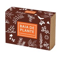 Sapun cu scortisoara si portocala, 100 g, Baia de plante