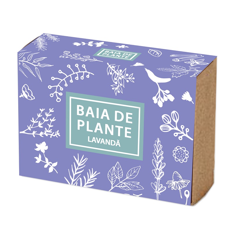 Sapun cu lavanda, 100g, Baia de plante