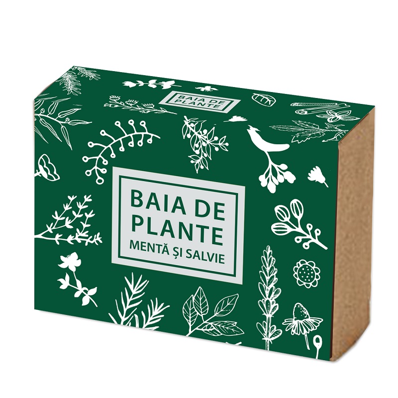 Sapun cu menta si salvie, 100g, Baia de plante