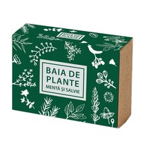 Sapun cu menta si salvie, 100 g, Baia de plante