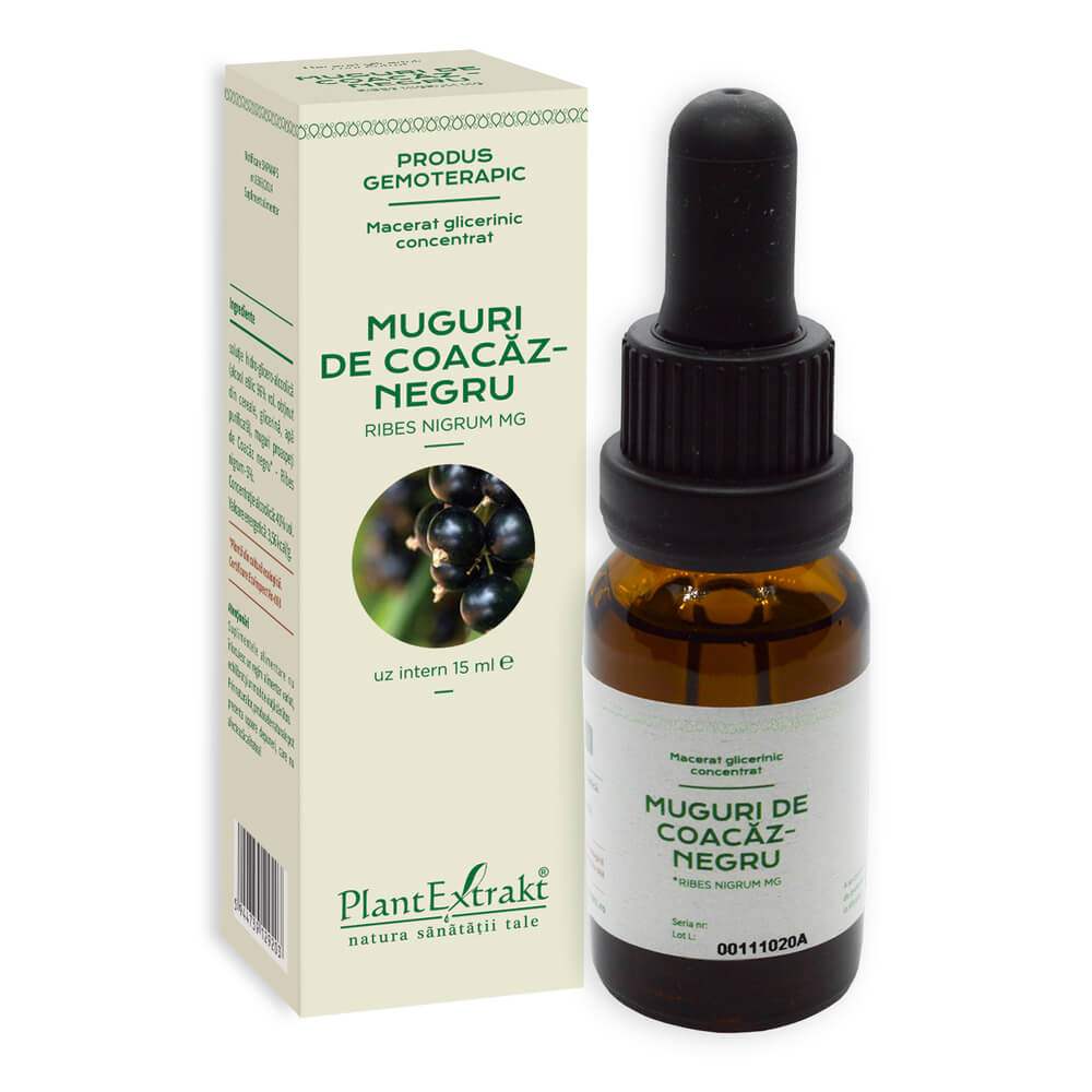 Muguri de Coacaz Negru, 15 ml, Plant Extrakt