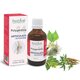 Polygemma 14 Articulatii Detoxifiere, 50 ml, Plant Extrakt 731814
