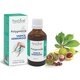 Polygemma 6 Varice si Hemoroizi, 50 ml, Plant Extrakt 731788