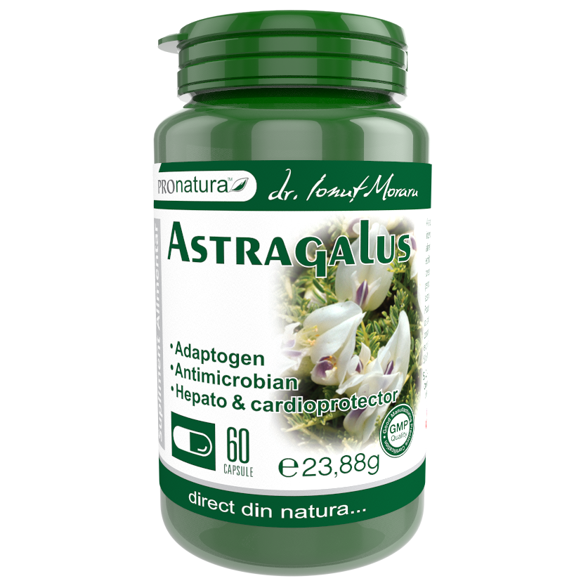 Astragalus, 60 capsule, Pro Natura