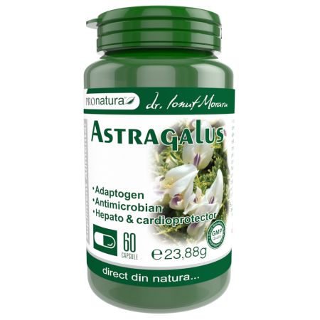 Astragalus, 60 capsule, Pro Natura