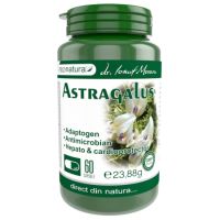 Astragalus, 60 capsule, Pro Natura