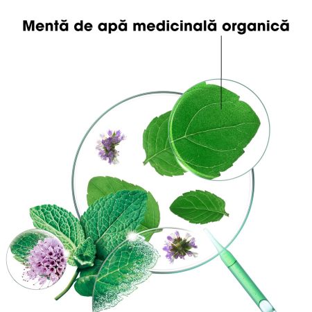 Sampon detoxifiant cu menta acvatica BIO, 200 ml, Klorane 672007