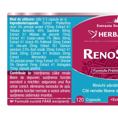 RenoStone, 120 capsule, Herbagetica 688961