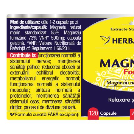 Magneziu Forte, 120 capsule, Herbagetica 688966