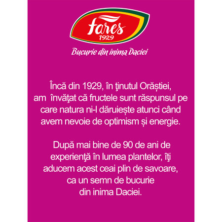 Ceai eco cu fructe de padure, 20 plicuri, Fares 604348