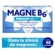 Magne B6 Premium, 100 mg/10 mg, 40 comprimate filmate, Sanofi 602607