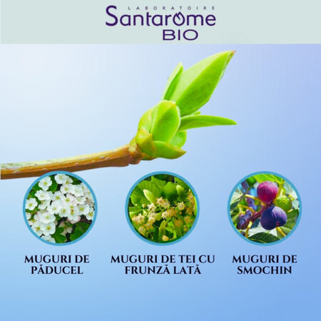 Complex 3 muguri gemoterapici picaturi Sommeil Bio, 30 ml, Santarome 617675
