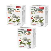 Pachet Capsule cu extract de Usturoi cu Paducel si Vasc, 3 x 30 capsule, Parapharm
