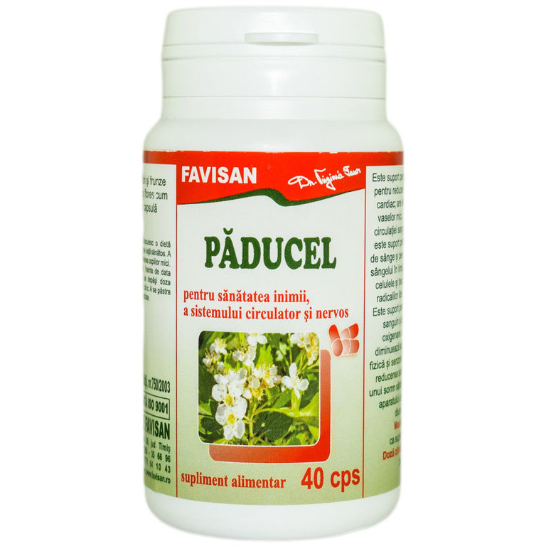 Paducel, 40 capsule, Favisan